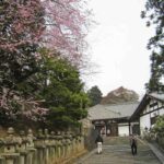 Nara – Nara Sehenswürdigkeiten und Aktivitäten