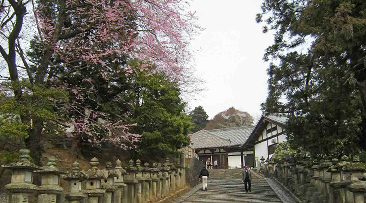 Nara – Nara Sehenswürdigkeiten und Aktivitäten - JapanInside
