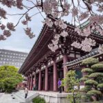 Fukuoka – Fukuoka Sehenswürdigkeiten & Tipps