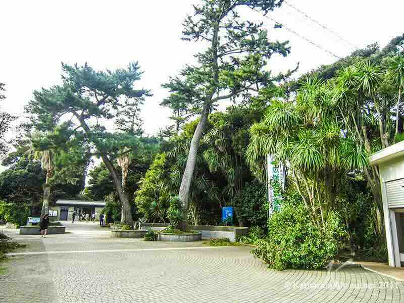 Enoshima – Samuel Cocking Garden