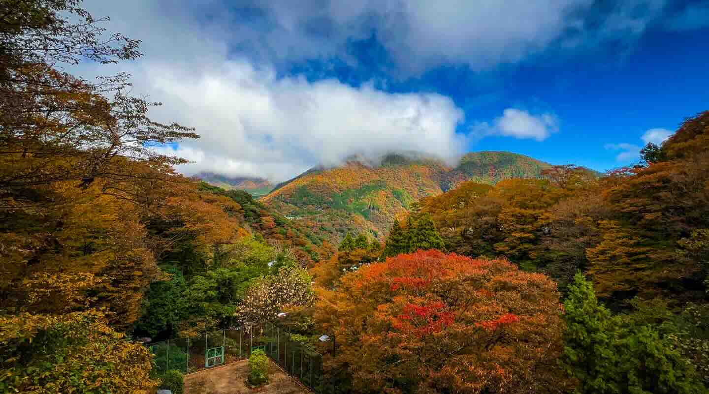 Hakone: Japans Naturparadies unweit von Tōkyō