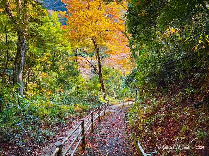 Hakone Tozan Train
