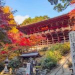 Engyō-ji auf dem Mount Shōsha – Verstecktes Tempelparadies bei Himeji