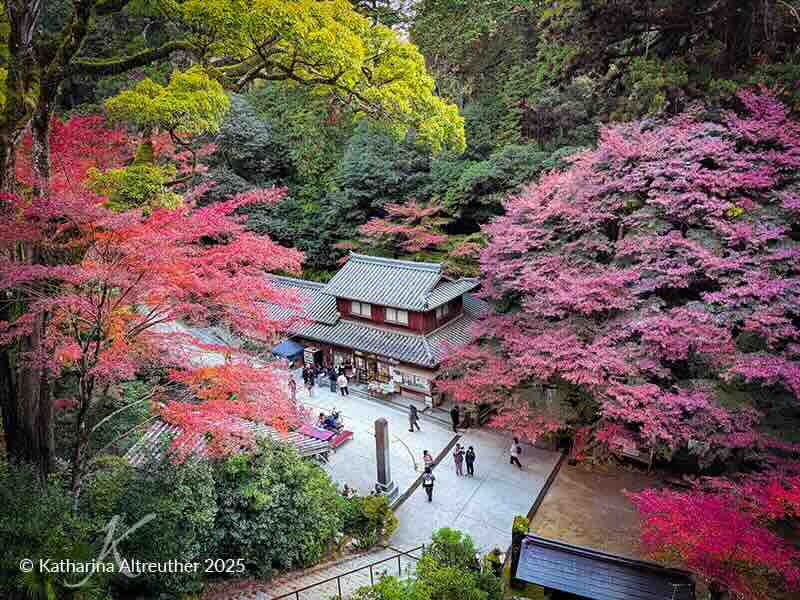 Engyō-ji auf dem Mount Shōsha – Verstecktes Tempelparadies bei Himeji