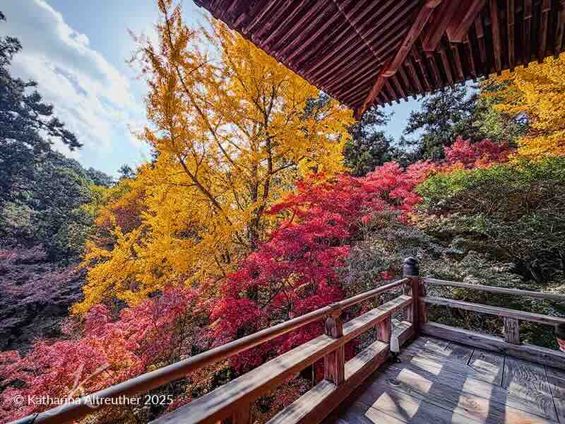 Engyō-ji auf dem Mount Shōsha – Verstecktes Tempelparadies bei Himeji