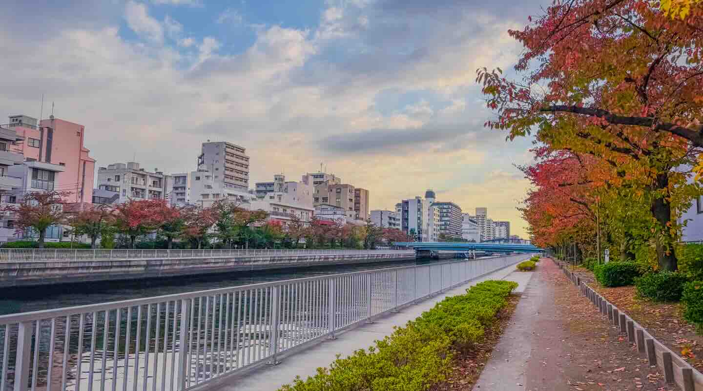 Kiyosumi Shirakawa – Tōkyōs charmantes Kaffee-, Kunst- und Kulturviertel