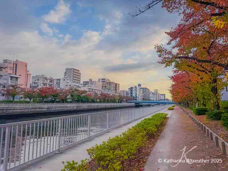 Kiyosumi Shirakawa – Tōkyōs charmantes Kaffee-, Kunst- und Kulturviertel